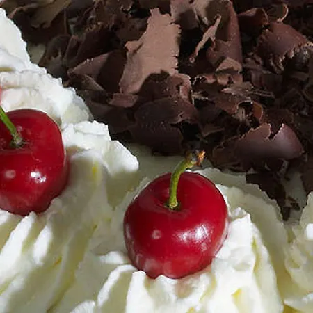 Cafe-pension Endehof 3*